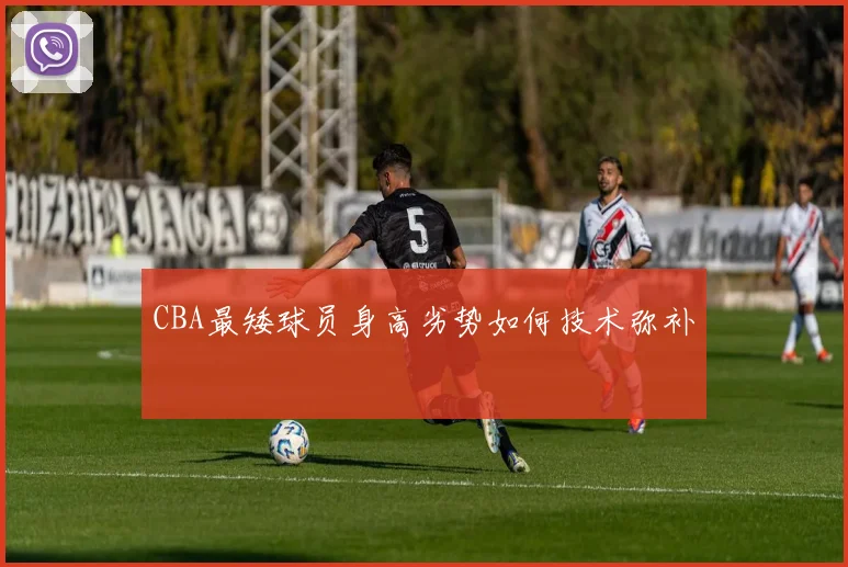 CBA最矮球员身高劣势如何技术弥补